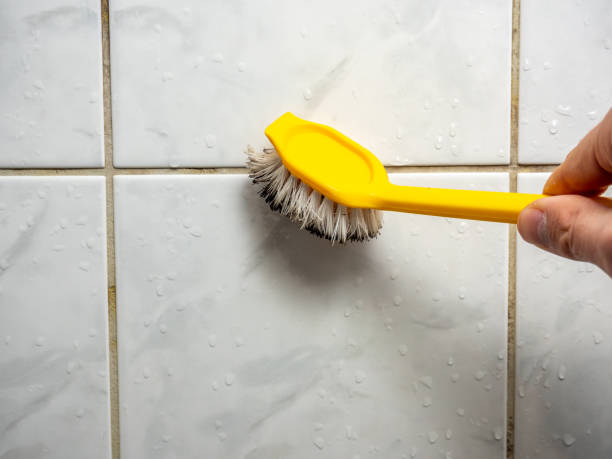 Best Same-Day Mold Removal  in Fayetteville, GA