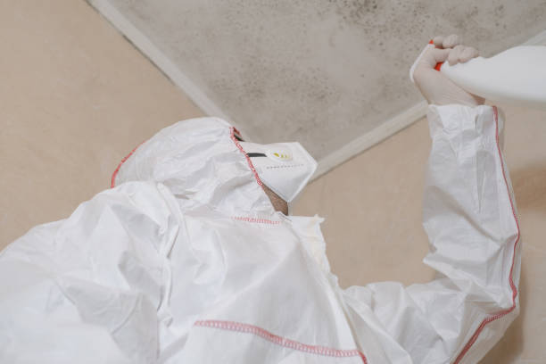 Best Local Mold Removal Service  in Fayetteville, GA
