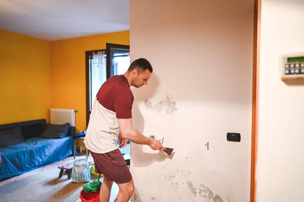 Best Mold Removal Company Near Me  in Fayetteville, GA